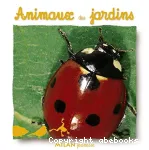 Animaux des jardins vignette