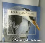 Les animaux pillards vignette