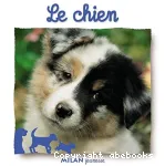 Le chien vignette