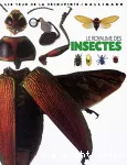 Le royaume des insectes vignette