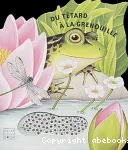 Du têtard et la grenouille vignette