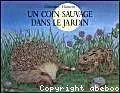 vignette