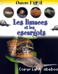 Les limaces et les escargots vignette