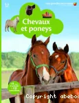 Chevaux et poneys vignette