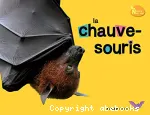 La chauve-souris vignette
