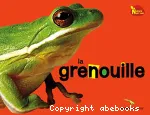La grenouille vignette