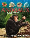Animaux très malins vignette