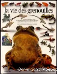 La vie des grenouilles vignette