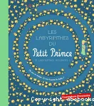Les labyrinthes du Petit Prince vignette
