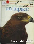 Qui suis-je ? un rapace vignette