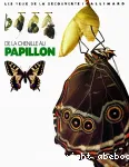 De la chenille au papillon vignette