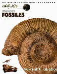 L' Enigme des fossiles vignette