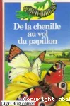 De la chenille au vol du papillon vignette