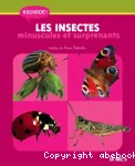 Les insectes minuscules et surprenants vignette