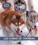 Les chiens de traîneau vignette