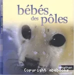 Bébés des pôles vignette