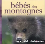 Bébés des montagnes vignette