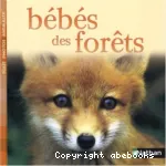 Bébés des forêts vignette