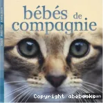 Bébés de compagnie vignette