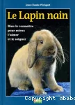 Le lapin nain vignette