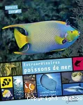 Extraordinaires poissons de mer vignette