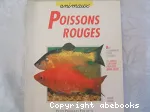 Poissons rouges vignette