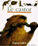 Le castor vignette