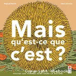 Mais qu'est-ce que c'est ? vignette