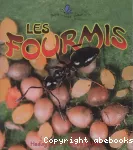 Les fourmis vignette
