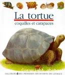 La tortue vignette