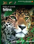 Petits et grands félins vignette
