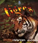 Les tigres vignette