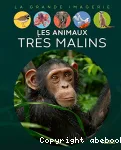 Les animaux très malins vignette
