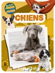 Chiens vignette