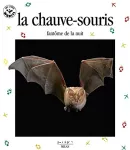 La chauve-souris : fantôme de la nuit vignette