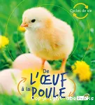 De l'oeuf à la poule vignette