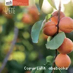 L'été vignette