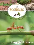 Les fourmis vignette