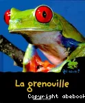 La grenouille vignette