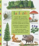 La forêt vignette