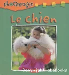 Le chien vignette