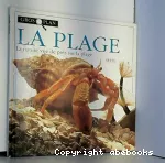 vignette