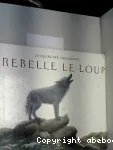 Rebelle le loup vignette