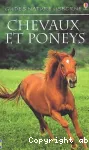 Chevaux et poneys vignette
