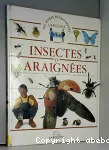 Insectes et araignées vignette