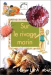 vignette