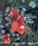 Les petits d'animaux de la mer vignette