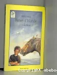 Poney d'Islande vignette
