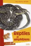 Reptiles et amphibiens vignette