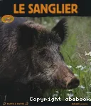 Le sanglier vignette